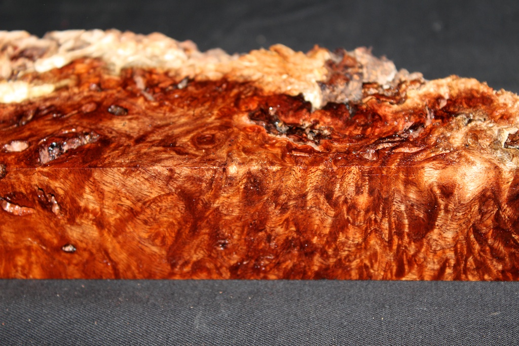 Blackwood Burl