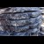 Bulk Timber Packs!
