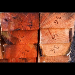 Tasmanian Bulk Timber Packs