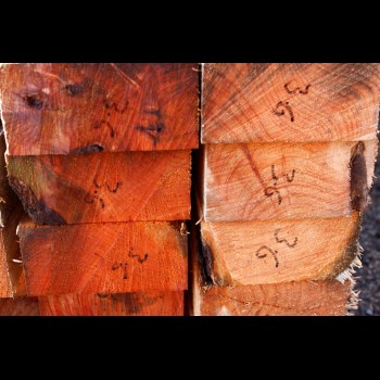 Tasmanian Bulk Timber Packs